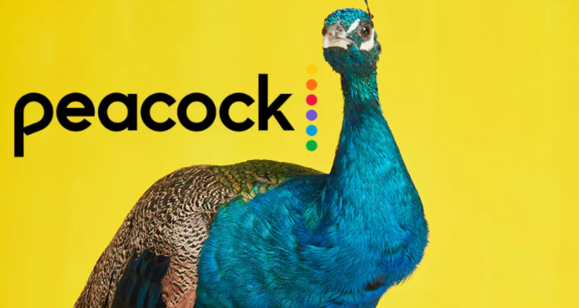 peacock tv