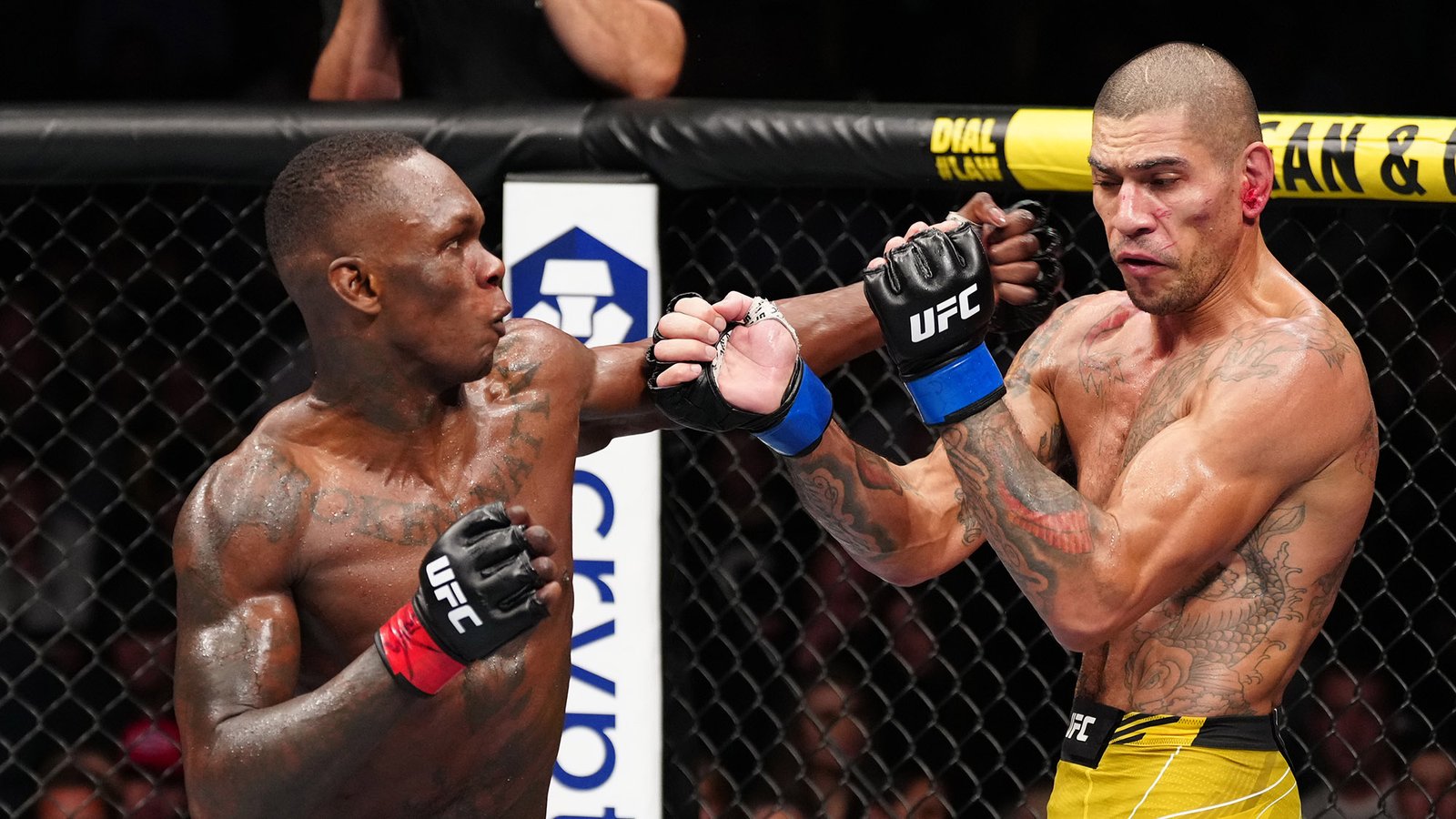 Top 8 best free UFC streaming sites – Geekymint