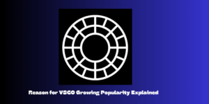 VSCO Growing Popularity
