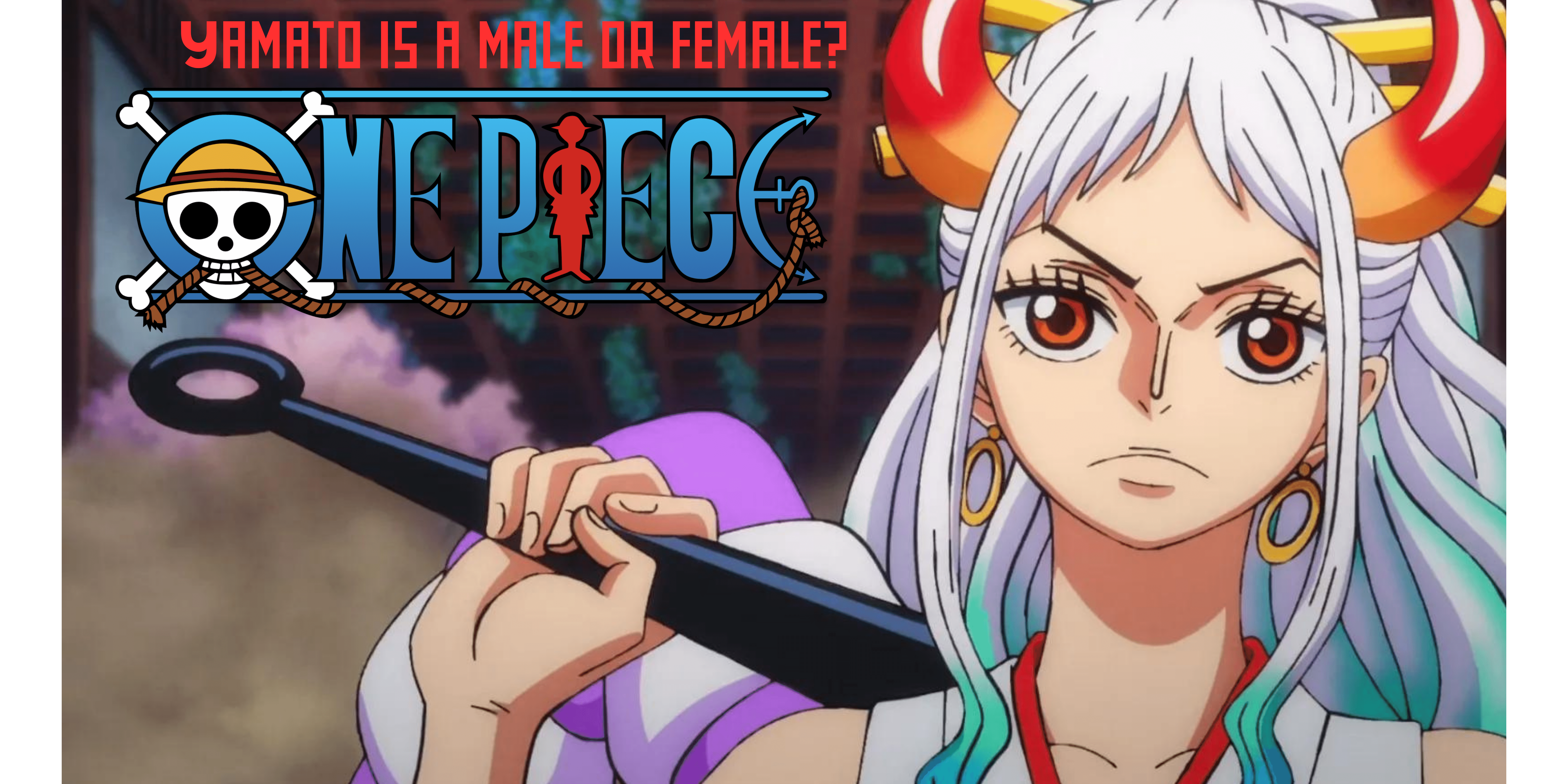 Yamato Gender One Piece