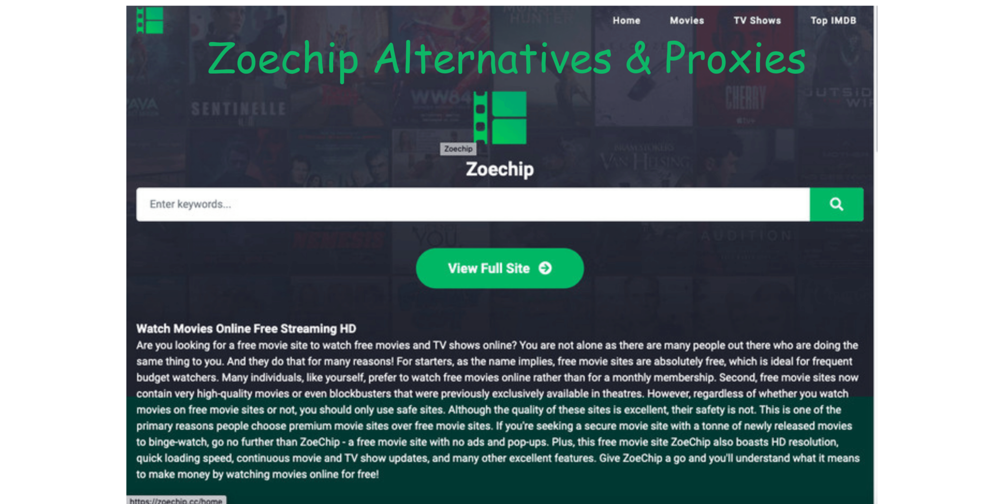 Top Best Zoechip Alternatives 2024 Edition Geekymint