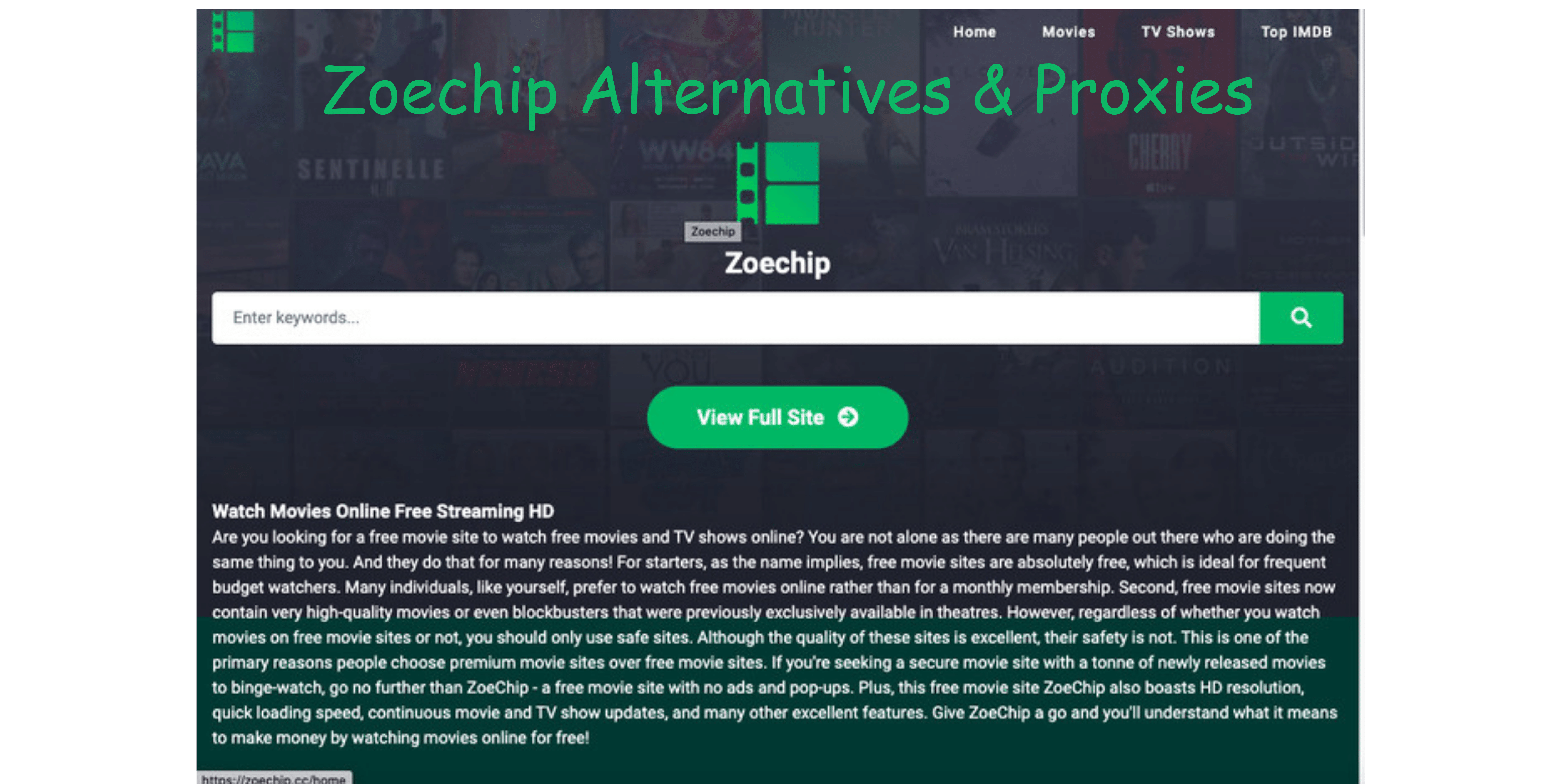 ZoeChip Alternatives