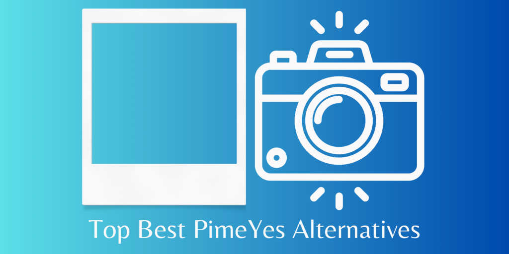 Pimeyes Alternatives