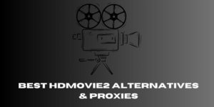 HDMovie2 alternatives and proxies